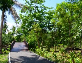 Cycling in Wonderful Park & Tasting Local Food at a Floating Market