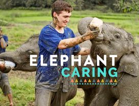 Responsible, Cruelty-Free Tour of Chiang Mai's Elephant Sanctuary with Best Local Expert 2017