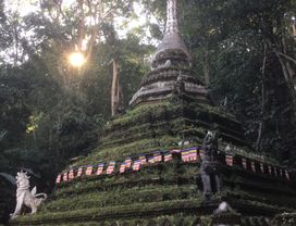 Explore Doi Suthep & Wat Pha Lat