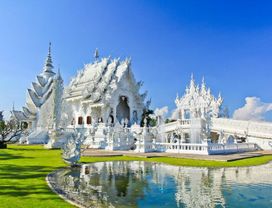 Discover White Temple & Choui Fong Tea Plantation in Chiang Rai