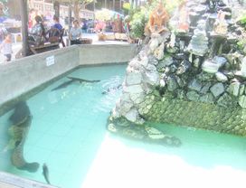 Cycling, Historical places, Museum & Fair Price Seafood