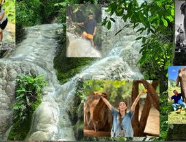Chiang Mai Tour: Bua Tong Sticky Waterfall & Ethical Elephant Care