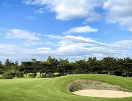 (Weekday) the RG City Golf Club with Round Trip Transfer