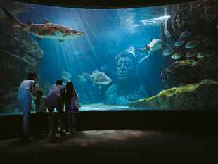 SEA LIFE Bangkok Ocean World: 40% OFF for Pre-Booking Only