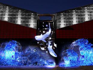 บัตรเข้าพิพิธภัณฑ์สัตว์น้ำไคยูคัง โอซาก้า (Osaka Aquarium Kaiyukan)