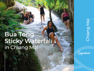 [08.00 AM] Climb Unique Sticky Waterfall in Chiang Mai (Half Day)