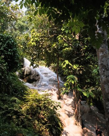 Bua Tong Waterfalls