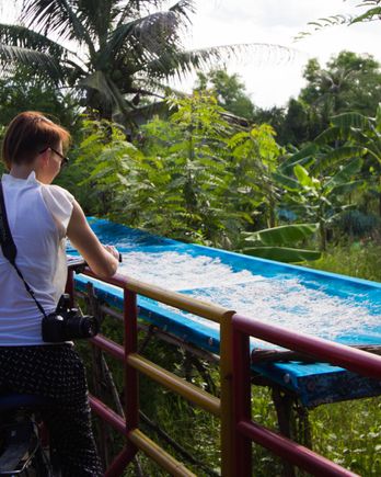 Bike in the alley among the nature