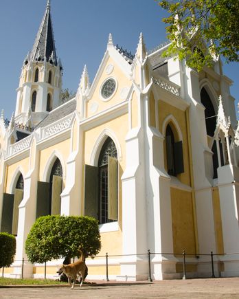 Wat Niwet Thammaprawat