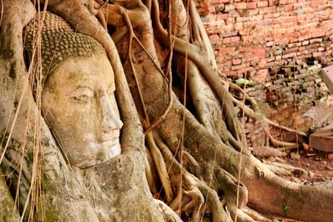Explore Ayutthaya in 1-Day