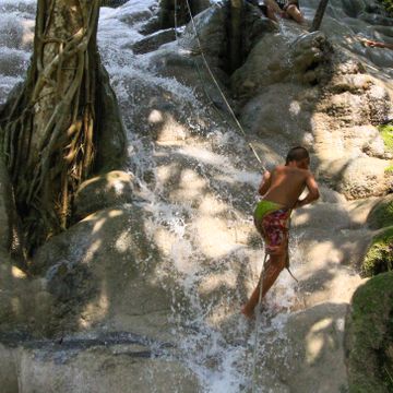 Climb Bua Tong Sticky Waterfall