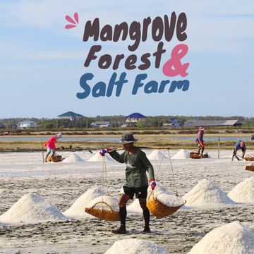 Samut Sakhon from Bangkok: Mangrove, Salt Farm & Fisherman's Village