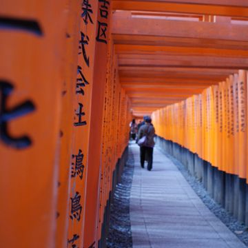 พาเที่ยว Kyoto: พาเก็บที่ท่องเที่ยวหลักๆในตัวเมืองใน 1 วัน