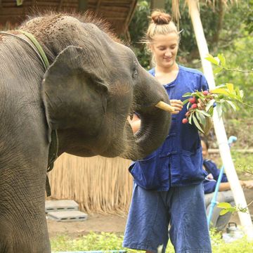 Be an Private Elephant Caretaker & Climb the Sticky Waterfall!
