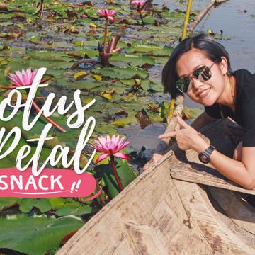 Glide Along the Red Lotus Pond & Try a Lotus Petal Snack!  