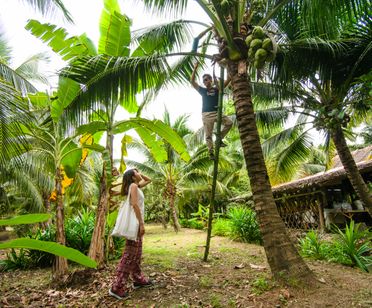 Story of Coconuts, Boat Ride & Floating Market