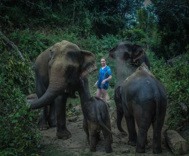 Chiang Mai: Ethical Elephant Care & Coffee Workshop in Karen Hill Tribe