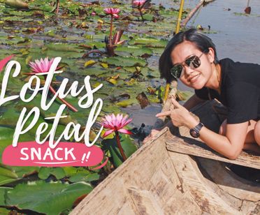 Glide Along the Red Lotus Pond & Try a Lotus Petal Snack!  