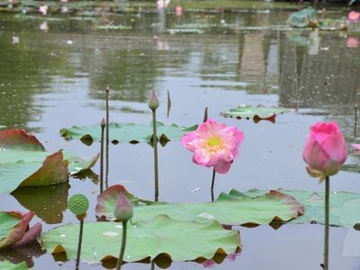 空叻玛荣水上市场