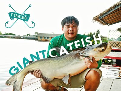 An Angler's Journey to Thailand: Catching the Mekong Giant C - Game & Fish