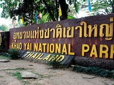 visite de jour et de nuit du parc national de khao yai au départ de bangkok 