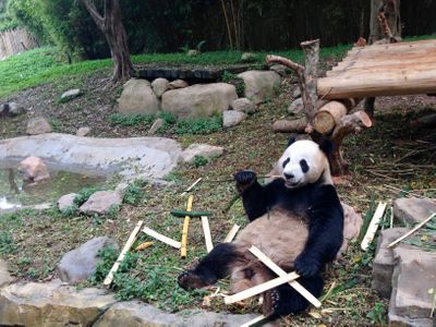 พาเที่ยว Guangzhou : พาเที่ยวตามใจ 1 วันในกวางโจว