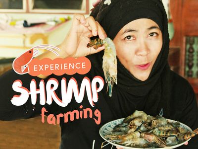 visit the largest buddha sculpture and enjoy cooking at local shrimp farm
