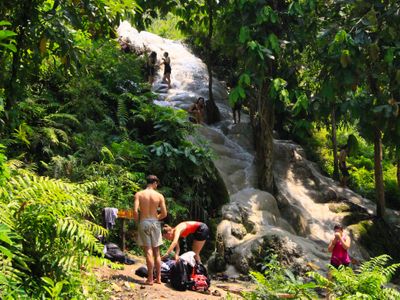 chiang mai : bua tong sticky waterfalls et pique(nique avec un local