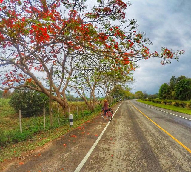 Slow Down and Enjoy Countryside Life