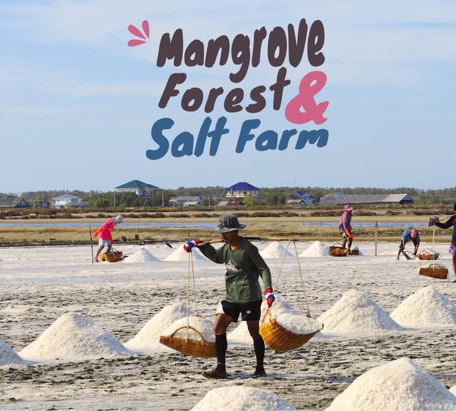 Samut Sakhon from Bangkok: Mangrove, Salt Farm & Fisherman's Village