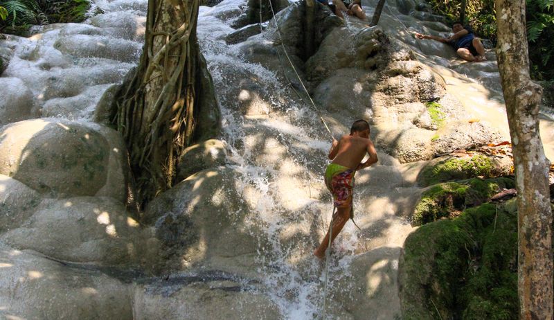 Private Bua Tong Sticky Waterfalls Tours in Chiang Mai